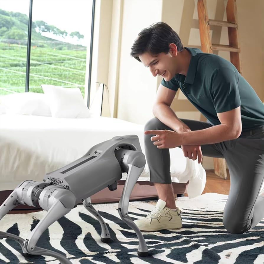 robothond